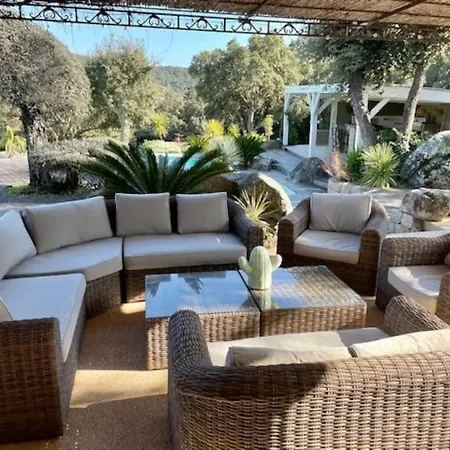 Valentine By Intendance Excellency