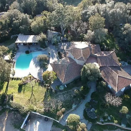 Valentine By Intendance Excellency