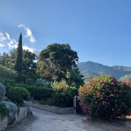 Valentine By Intendance Excellency Villa Porto-Vecchio (Corsica)