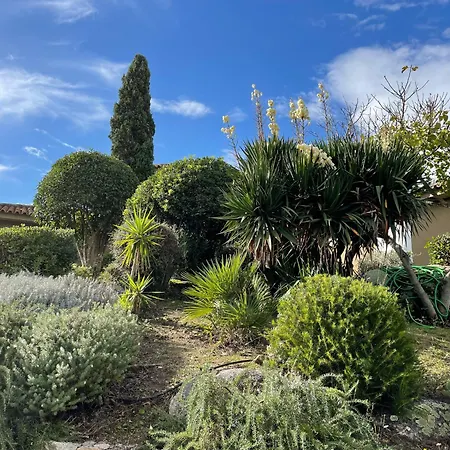 Valentine By Intendance Excellency Πόρτο Βέκιο