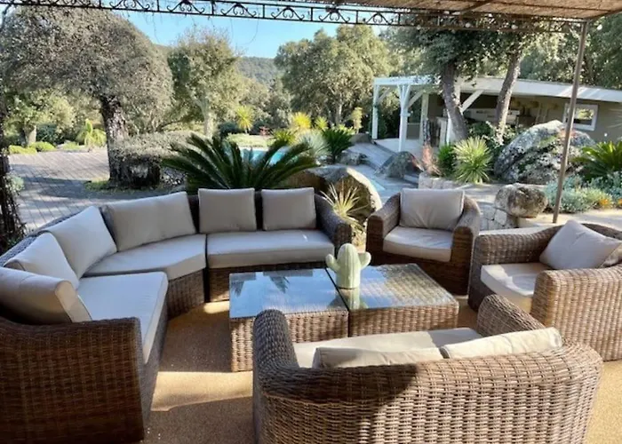 Valentine By Intendance Excellency