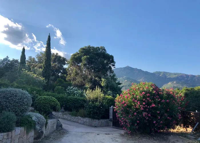 Valentine By Intendance Excellency Villa Porto Vecchio