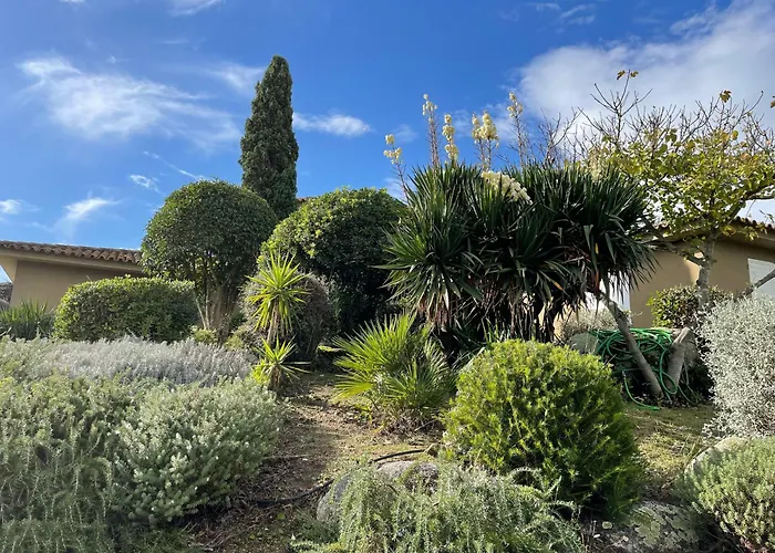 Valentine By Intendance Excellency Porto Vecchio